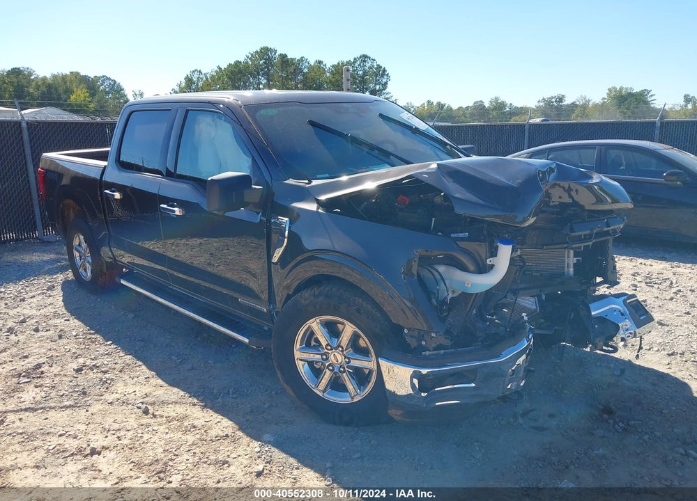 2024 FORD F-150 XLT VIN: 1FTFW3LD1RFA48352