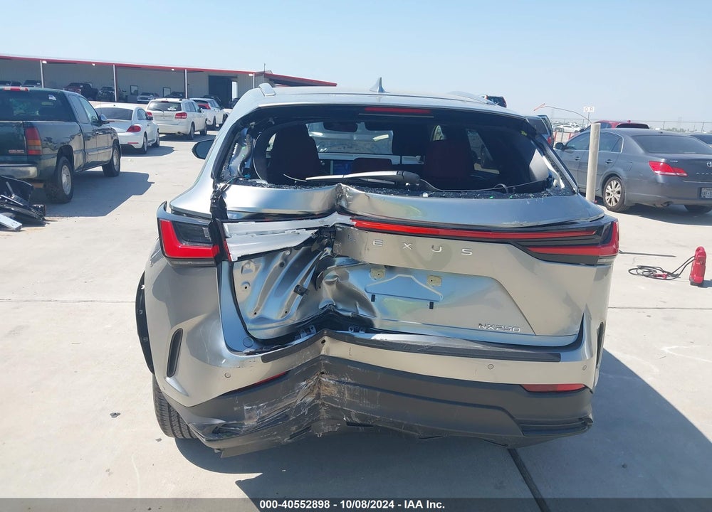 2024 LEXUS NX 250 PREMIUM VIN: JTJGDCAZ0R5022272