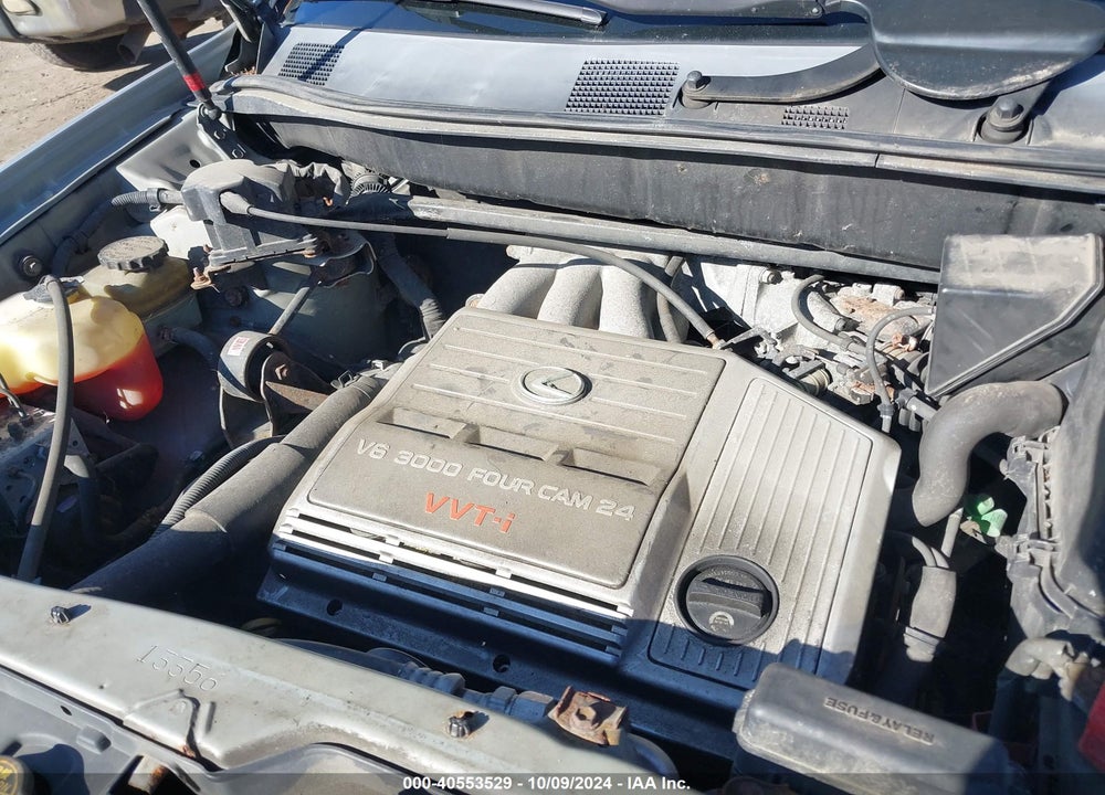 2002 LEXUS RX 300 VIN: JTJHF10U820276579