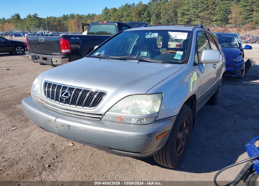 2002 LEXUS RX 300 VIN: JTJHF10U820276579