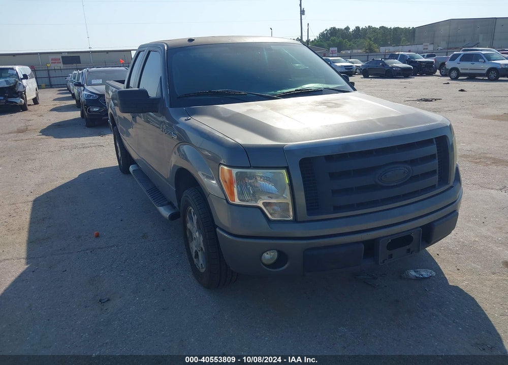 2009 FORD F-150 STX/XL VIN: 1FTRX12W69KB52795