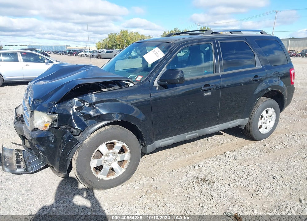 2010 FORD ESCAPE LIMITED VIN: 1FMCU9EG7AKD06304