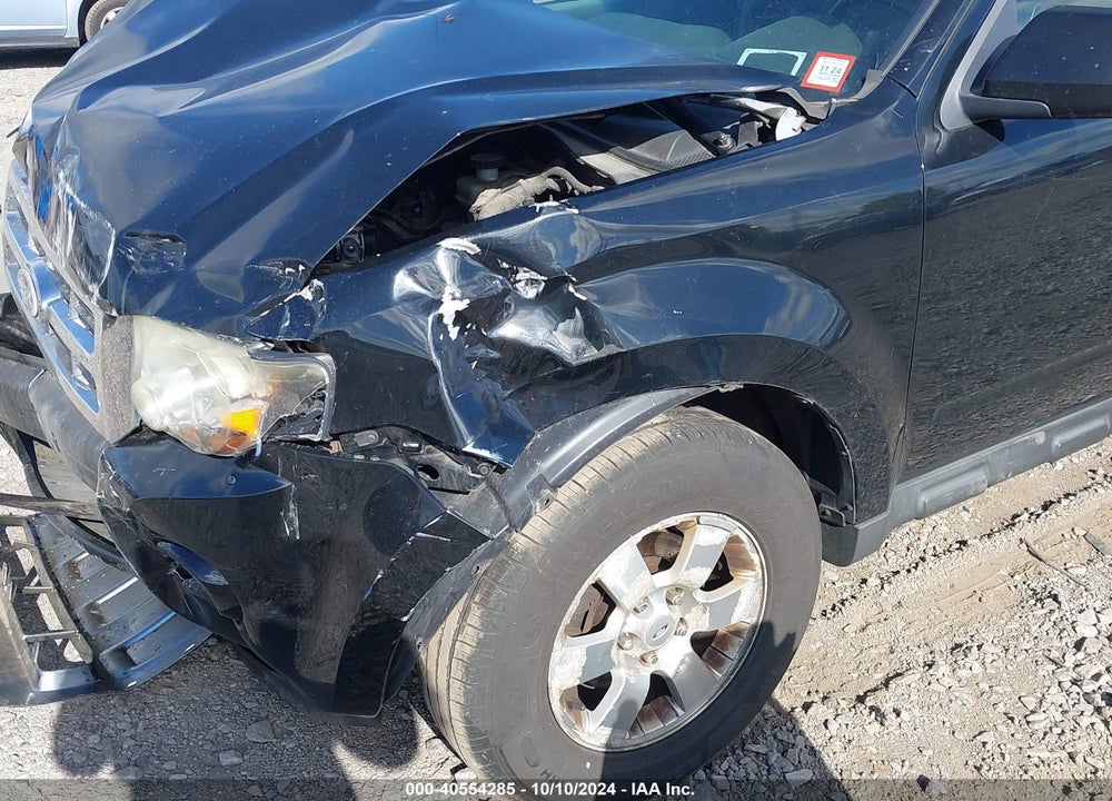 2010 FORD ESCAPE LIMITED VIN: 1FMCU9EG7AKD06304