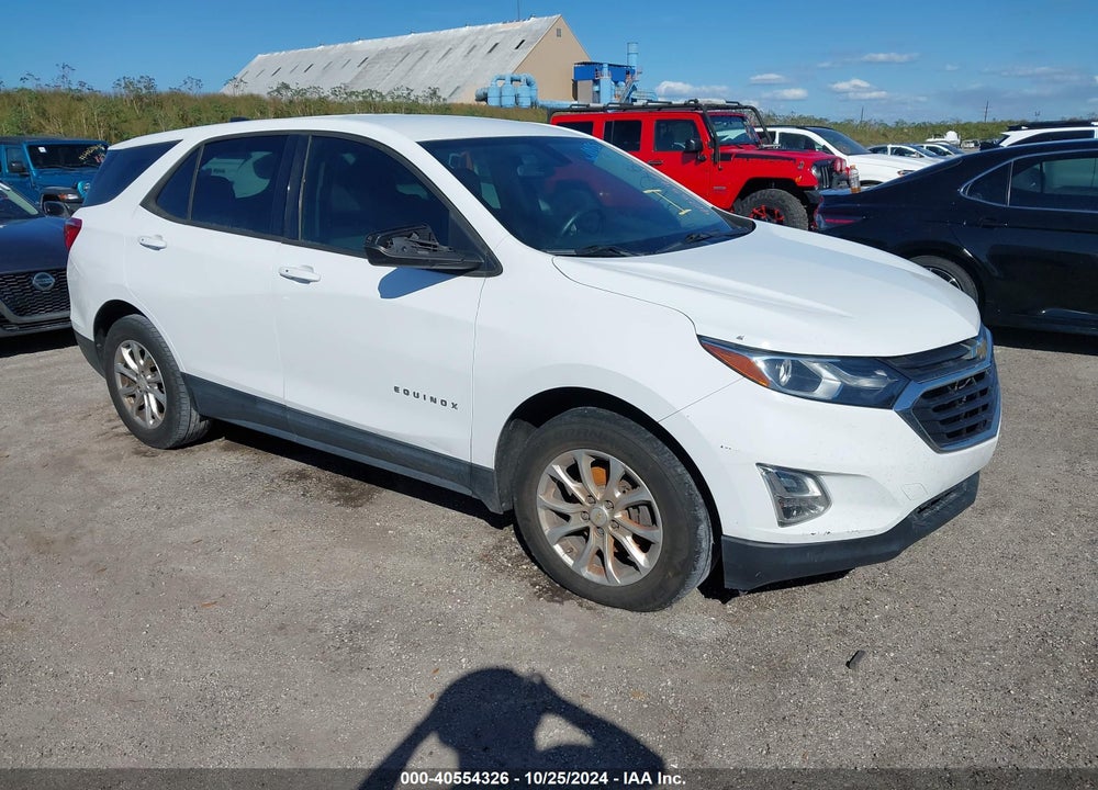 2018 CHEVROLET EQUINOX LS VIN: 2GNAXHEV8J6174966