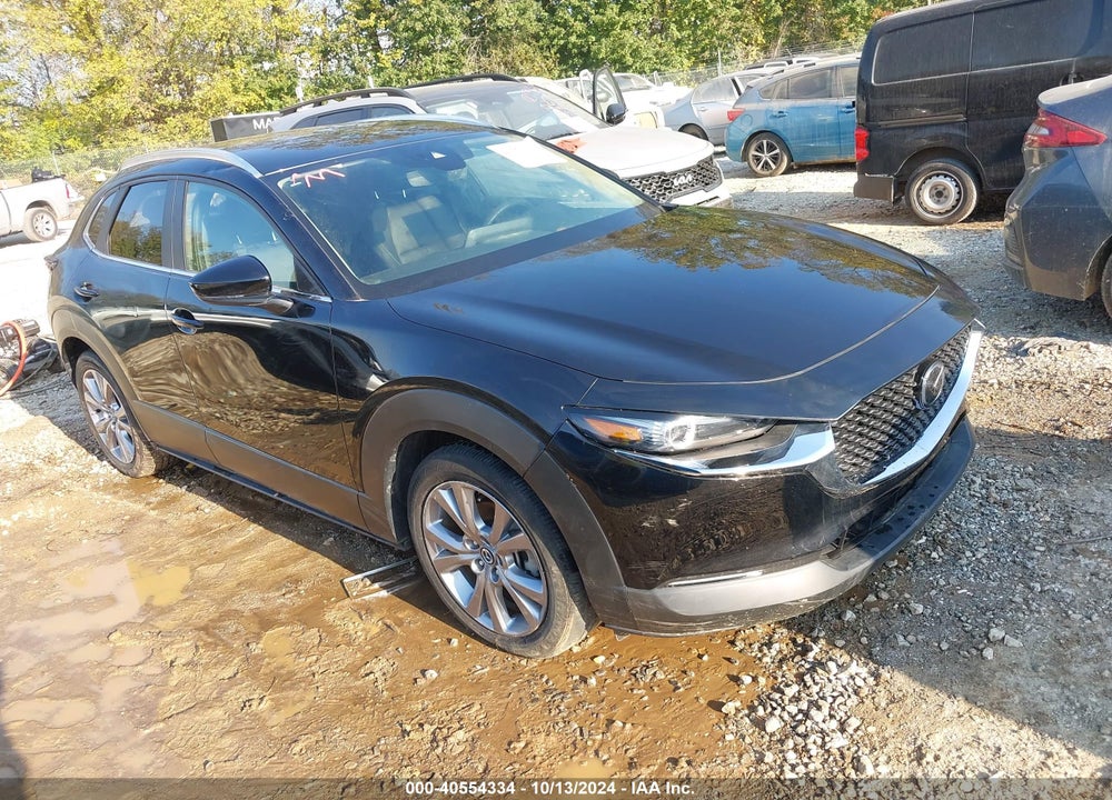 2022 MAZDA CX-30 SELECT VIN: 3MVDMBBL7NM428692