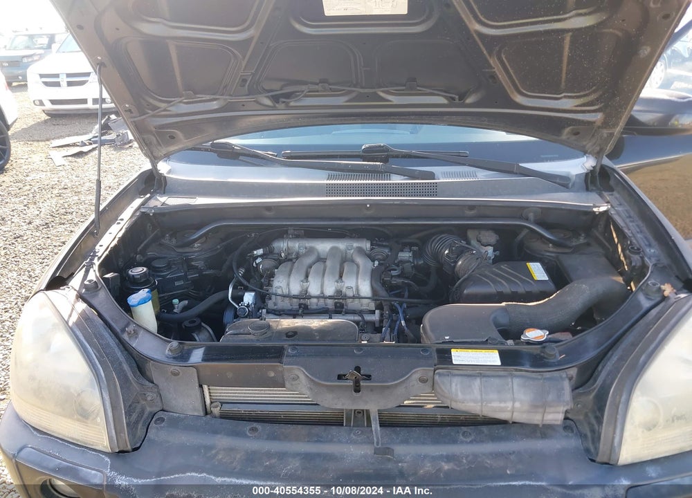 2006 HYUNDAI TUCSON GLS/LIMITED VIN: KM8JN12D36U273880