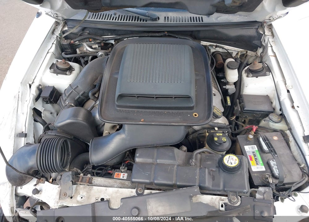 2004 FORD MUSTANG MACH 1 VIN: 1FAFP42R54F205959