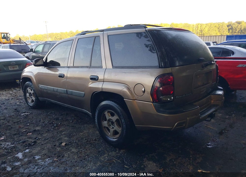 2003 CHEVROLET TRAILBLAZER LS VIN: 1GNDT13S032123910