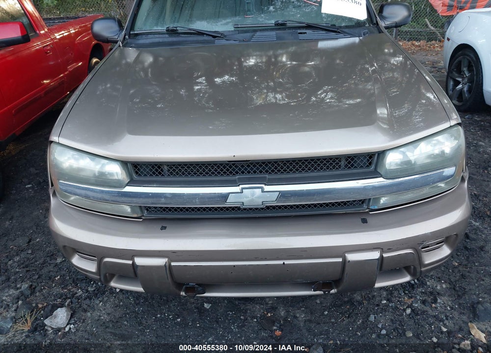 2003 CHEVROLET TRAILBLAZER LS VIN: 1GNDT13S032123910