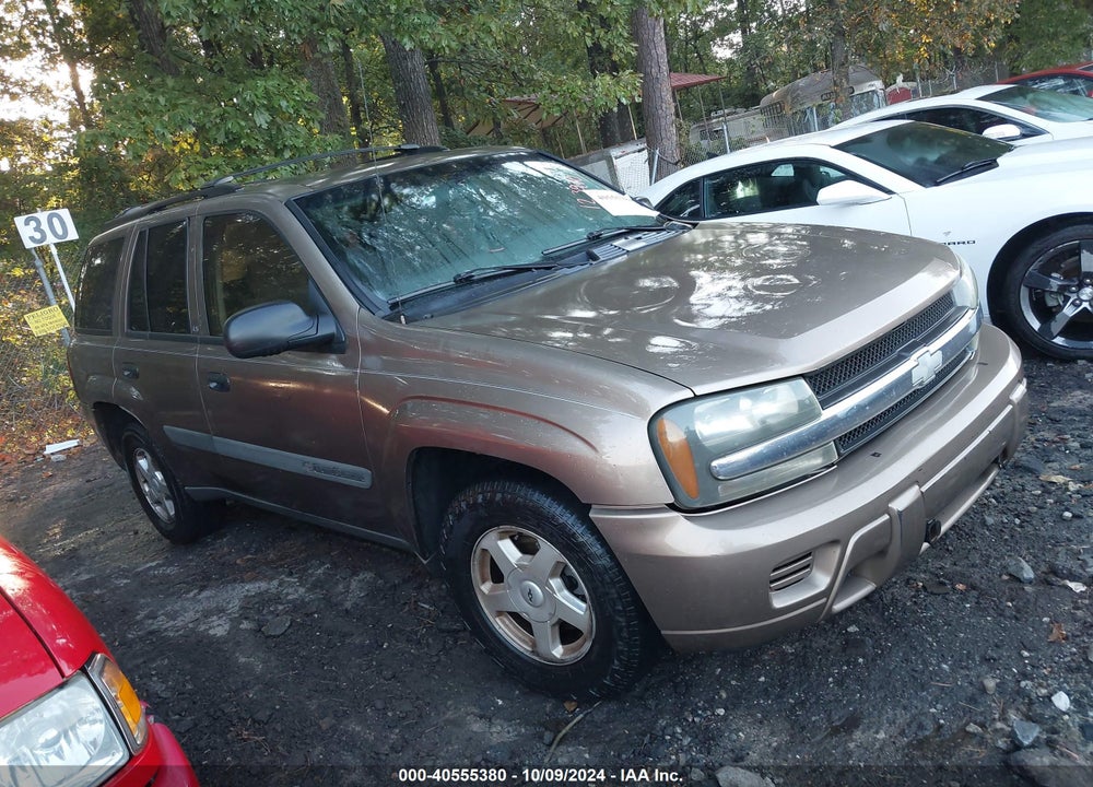 2003 CHEVROLET TRAILBLAZER LS VIN: 1GNDT13S032123910
