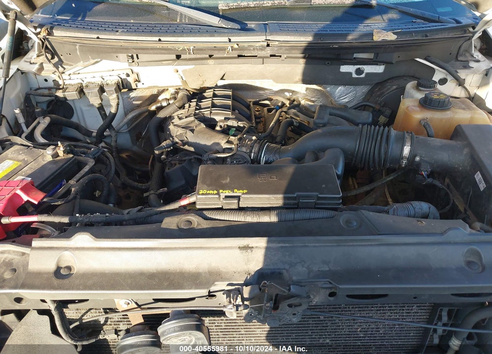 2013 FORD F-150 XL VIN: 1FTMF1CM8DKE32625