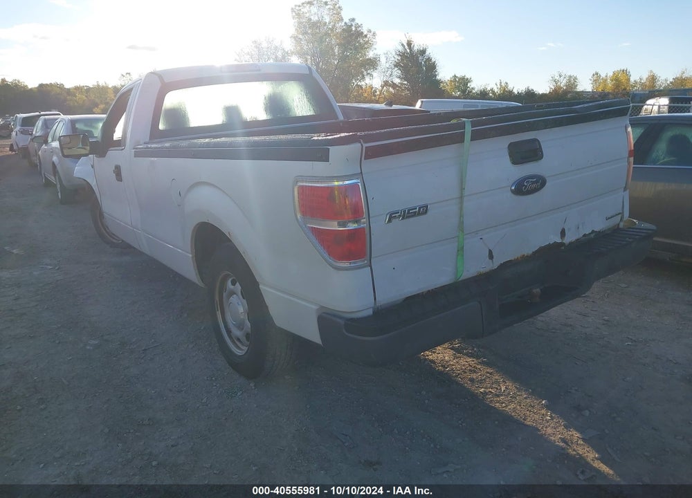 2013 FORD F-150 XL VIN: 1FTMF1CM8DKE32625