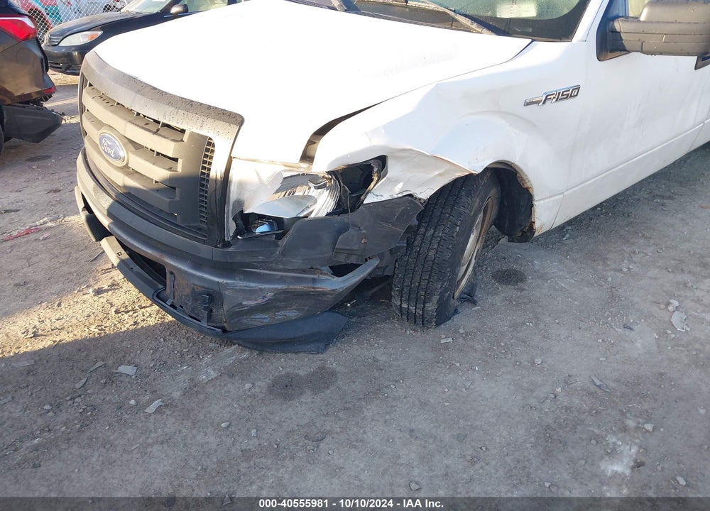 2013 FORD F-150 XL VIN: 1FTMF1CM8DKE32625