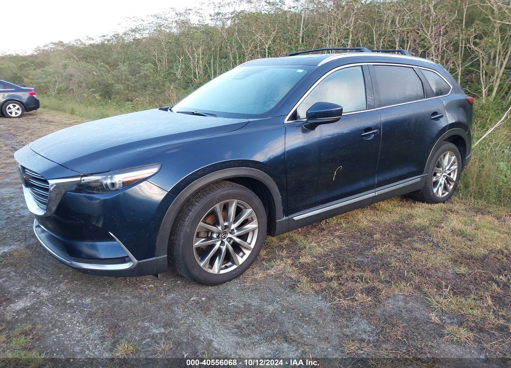 2017 MAZDA CX-9 GRAND TOURING VIN: JM3TCBDYXH0130693