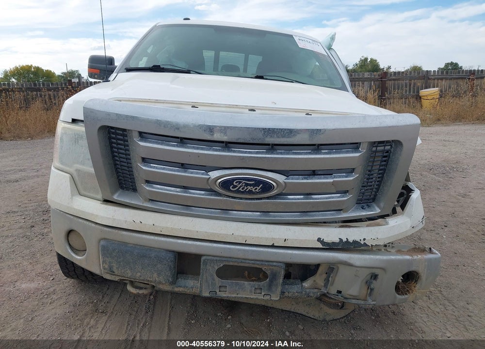 2012 FORD F-150 XLT VIN: 1FTFW1EF3CFA43504