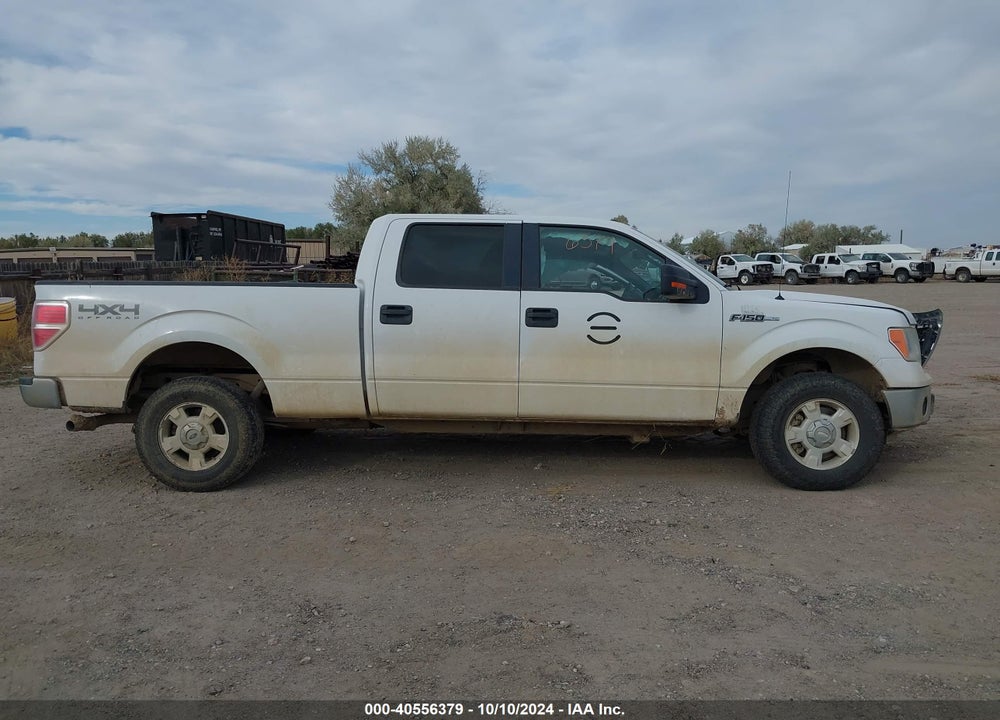 2012 FORD F-150 XLT VIN: 1FTFW1EF3CFA43504