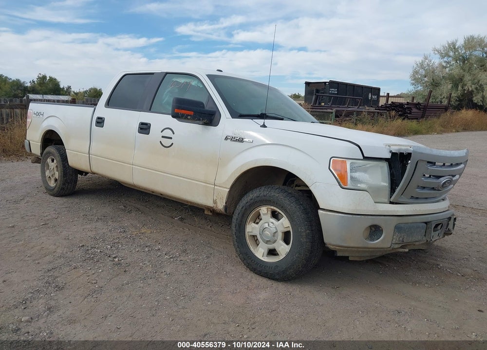 2012 FORD F-150 XLT VIN: 1FTFW1EF3CFA43504