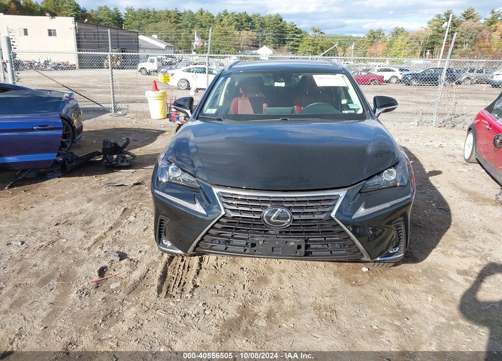 2020 LEXUS NX 300 VIN: JTJGARDZ3L2233241