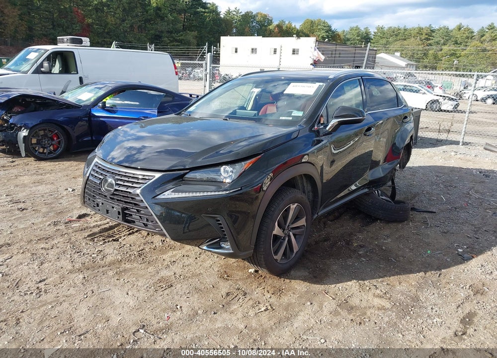 2020 LEXUS NX 300 VIN: JTJGARDZ3L2233241