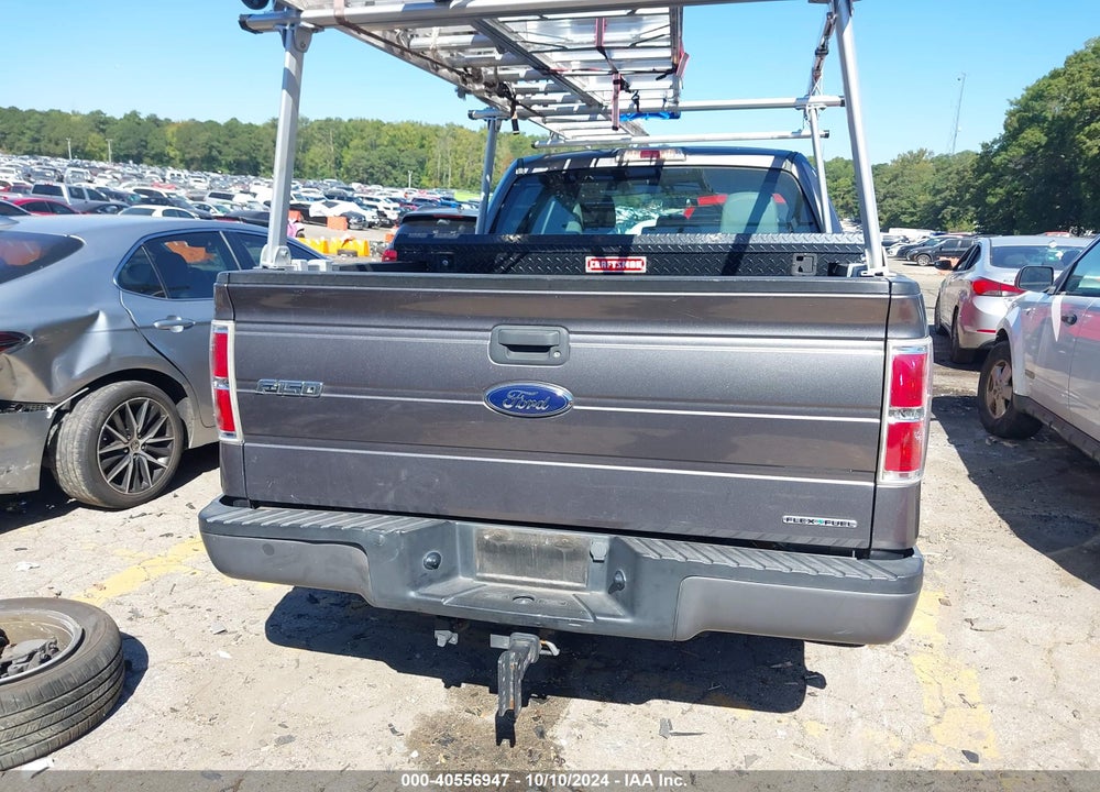 2013 FORD F-150 XL VIN: 1FTFX1CF3DFA41978