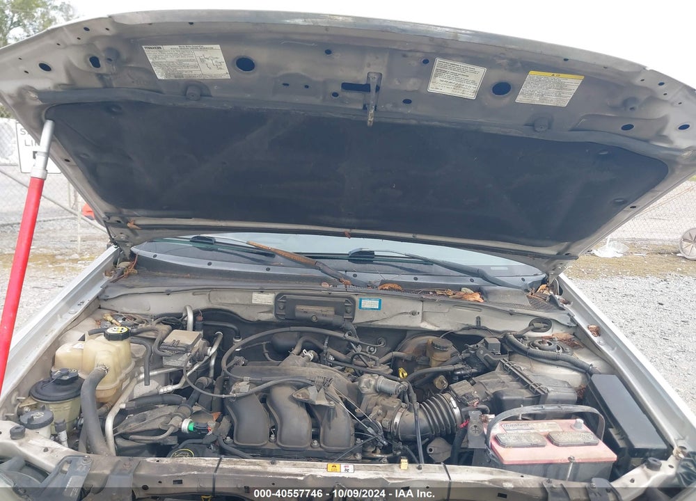 2004 MAZDA TRIBUTE ES V6 VIN: 4F2CZ06134KM06206