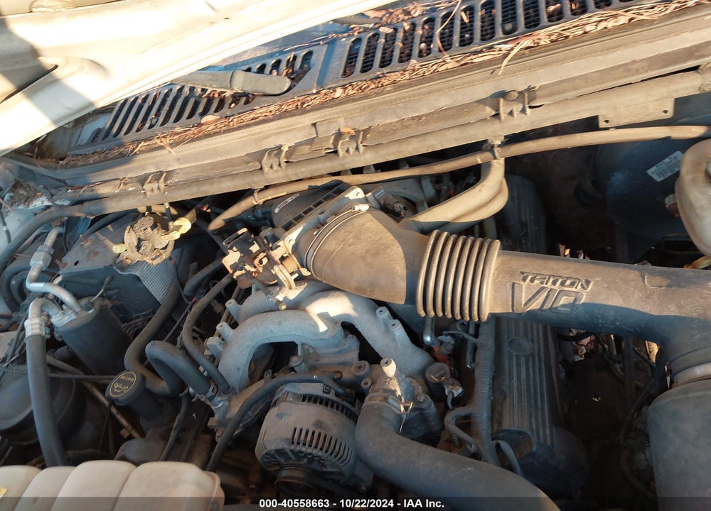 2004 FORD F-250 LARIAT/XL/XLT VIN: 1FTNX21S04EA25387