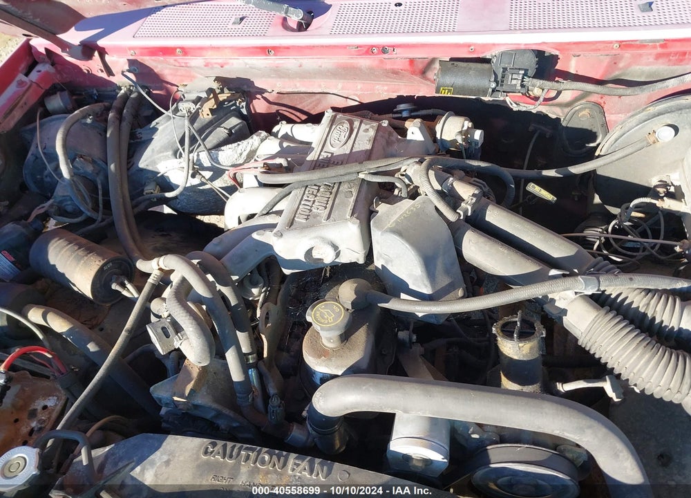 1994 FORD F150 VIN: 1FTEF14YXRLA06104
