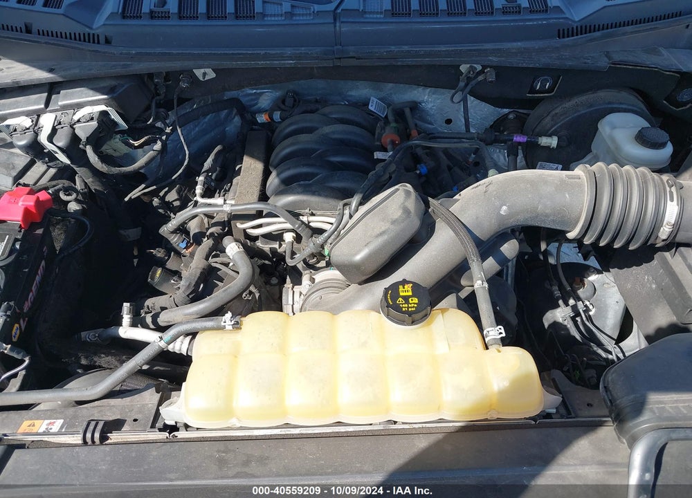 2019 FORD F-150 XLT VIN: 1FTEW1C50KKE69355