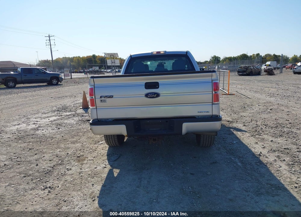 2013 FORD F-150 STX VIN: 1FTFX1EF7DFA61406