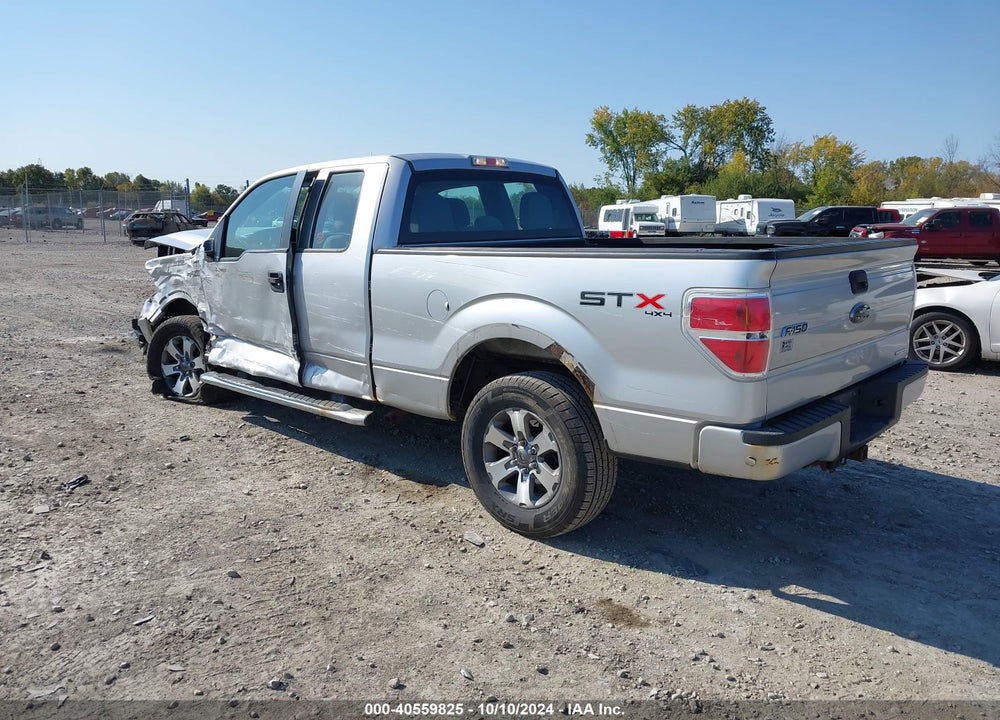 2013 FORD F-150 STX VIN: 1FTFX1EF7DFA61406