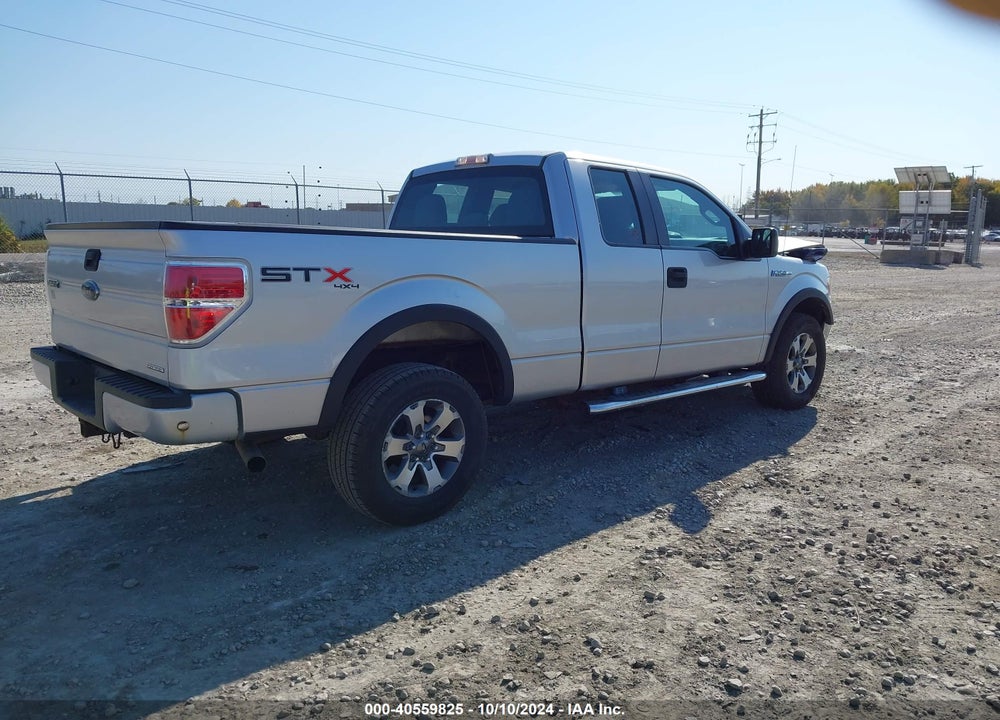 2013 FORD F-150 STX VIN: 1FTFX1EF7DFA61406