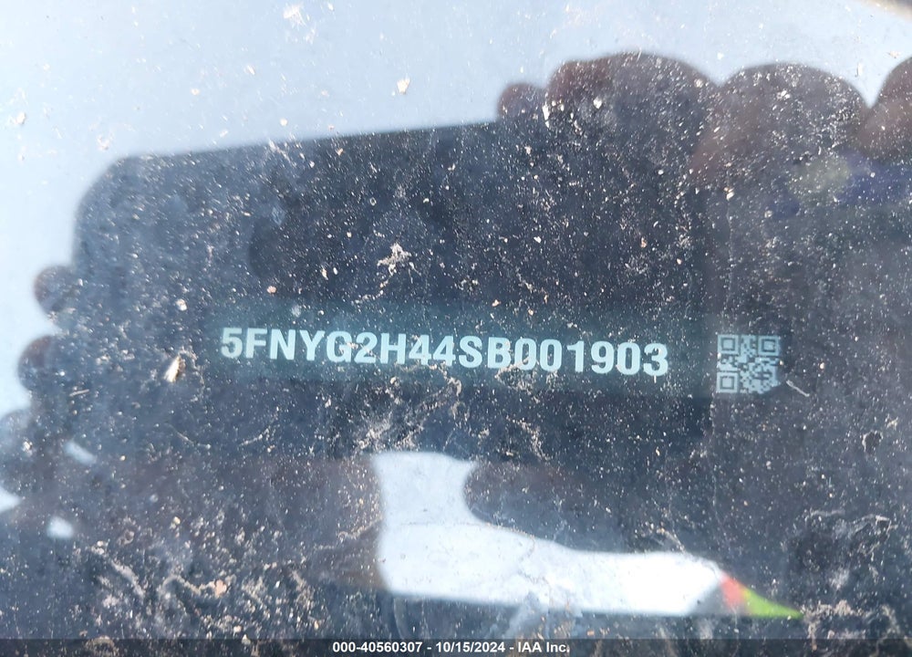 2025 HONDA PILOT VIN: 5FNYG2H44SB001903