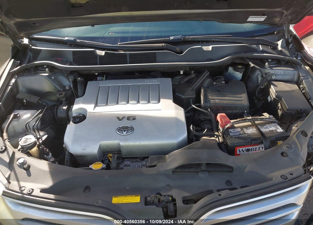 2009 TOYOTA VENZA BASE V6 VIN: 4T3BK11A29U004902
