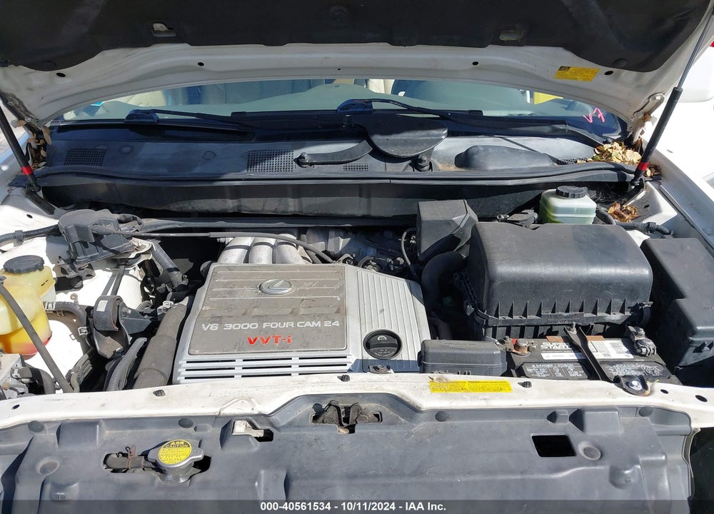 2002 LEXUS RX 300 VIN: JTJGF10U520134749