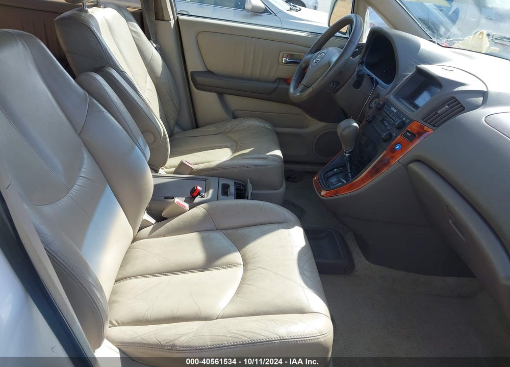 2002 LEXUS RX 300 VIN: JTJGF10U520134749