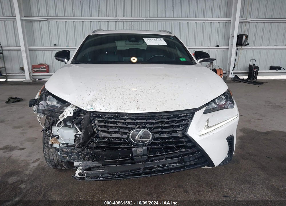 2020 LEXUS NX 300 VIN: JTJGARBZ3L2170127