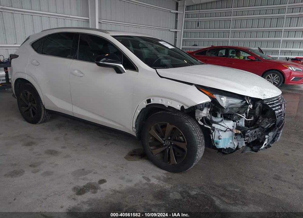 2020 LEXUS NX 300 VIN: JTJGARBZ3L2170127