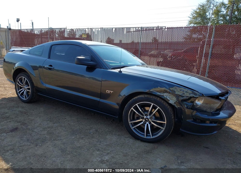 2006 FORD MUSTANG GT VIN: 1ZVHT82HX65244985
