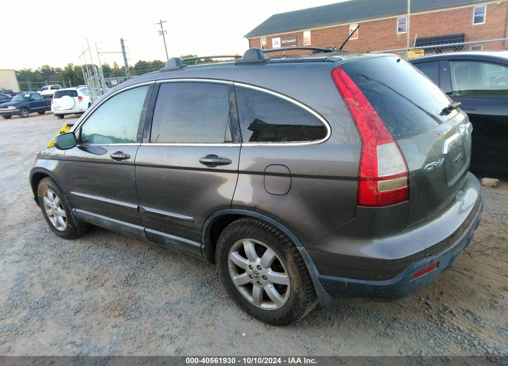 2009 HONDA CR-V EX-L VIN: 5J6RE48759L057821