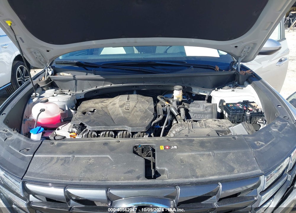 2024 HYUNDAI TUCSON SEL VIN: 5NMJFCDE6RH304165