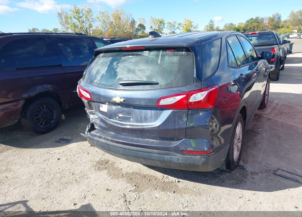 2019 CHEVROLET EQUINOX LS VIN: 3GNAXHEV7KS511047