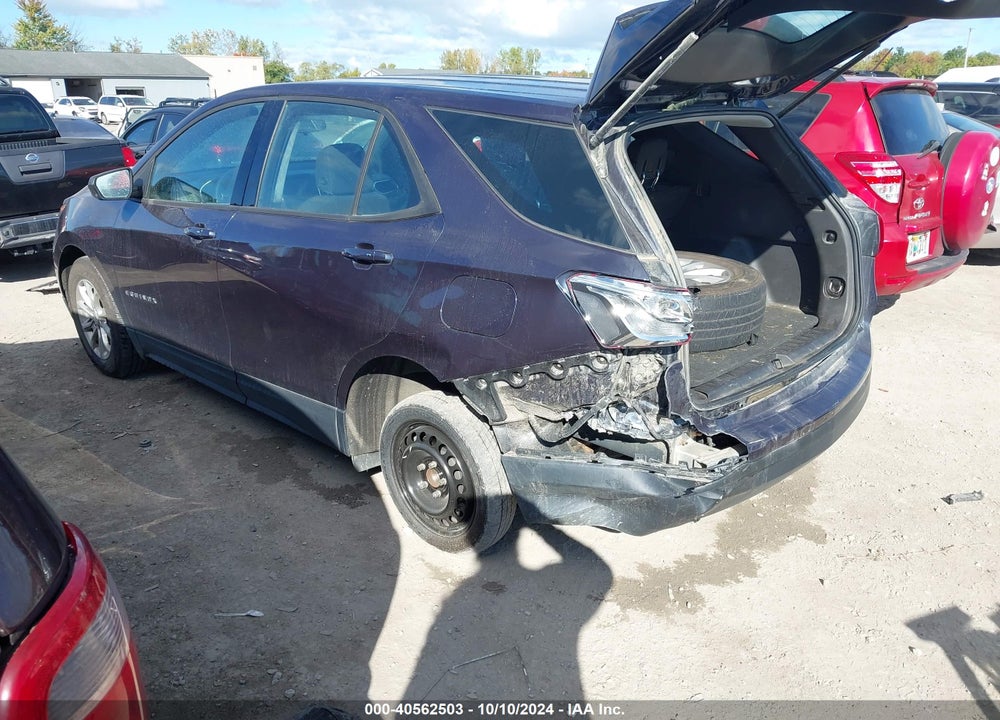 2019 CHEVROLET EQUINOX LS VIN: 3GNAXHEV7KS511047