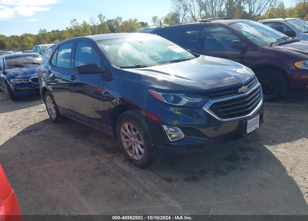 2019 CHEVROLET EQUINOX LS VIN: 3GNAXHEV7KS511047