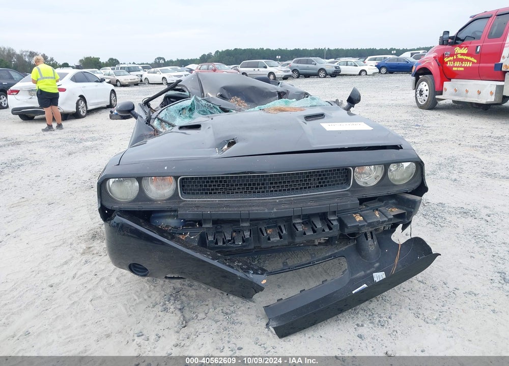2014 CHALLENGER DODGE  SXT VIN: 2C3CDYAG4EH307688