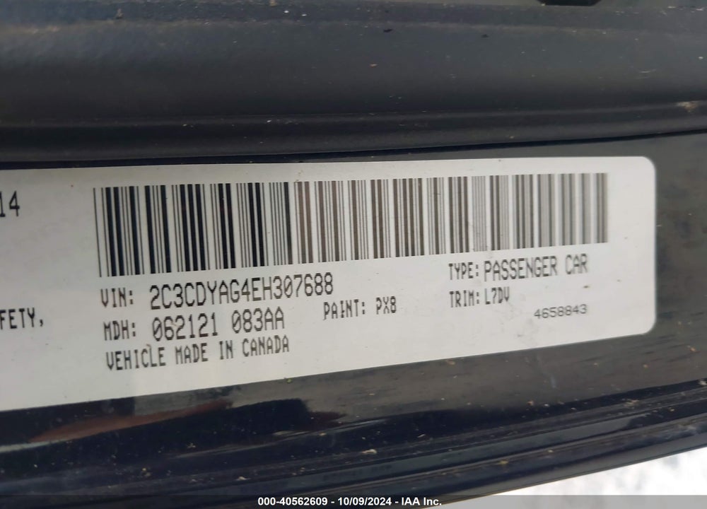 2014 CHALLENGER DODGE  SXT VIN: 2C3CDYAG4EH307688