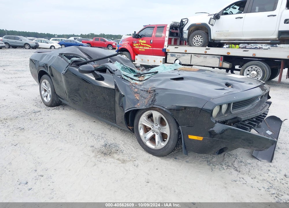 2014 CHALLENGER DODGE  SXT VIN: 2C3CDYAG4EH307688