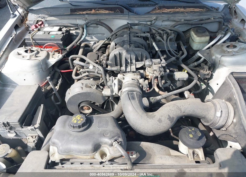 2005 FORD MUSTANG V6 DELUXE/V6 PREMIUM VIN: 1ZVFT80N055153870