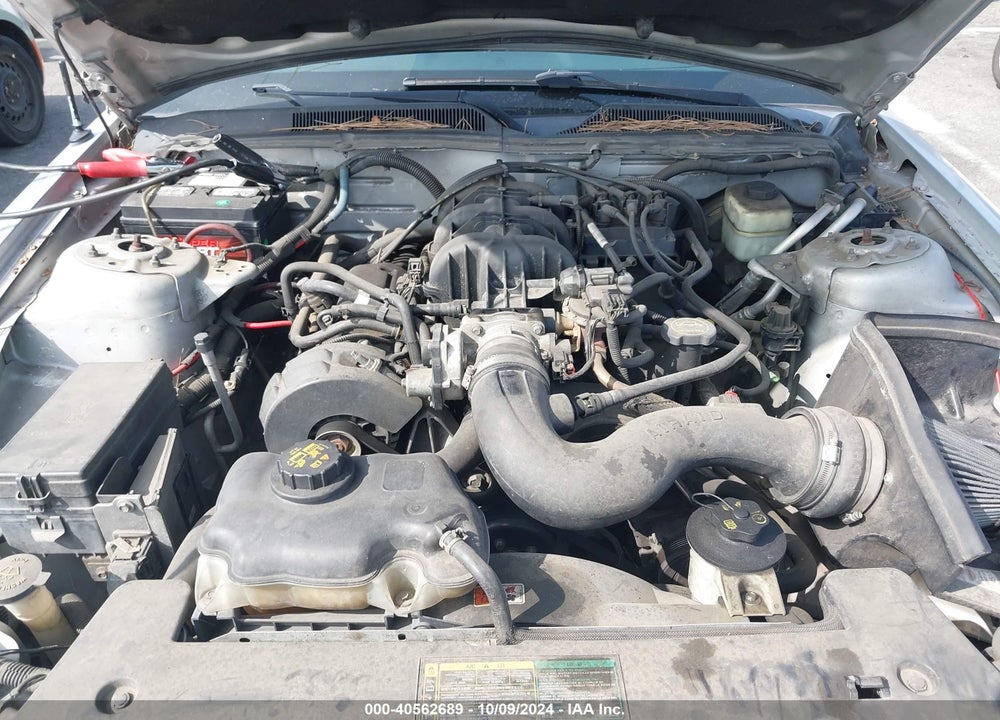 2005 FORD MUSTANG V6 DELUXE/V6 PREMIUM VIN: 1ZVFT80N055153870