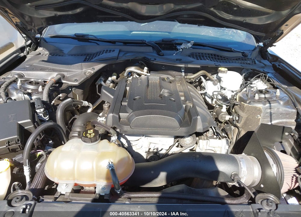 2019 FORD MUSTANG ECOBOOST VIN: 1FA6P8TH8K5125507
