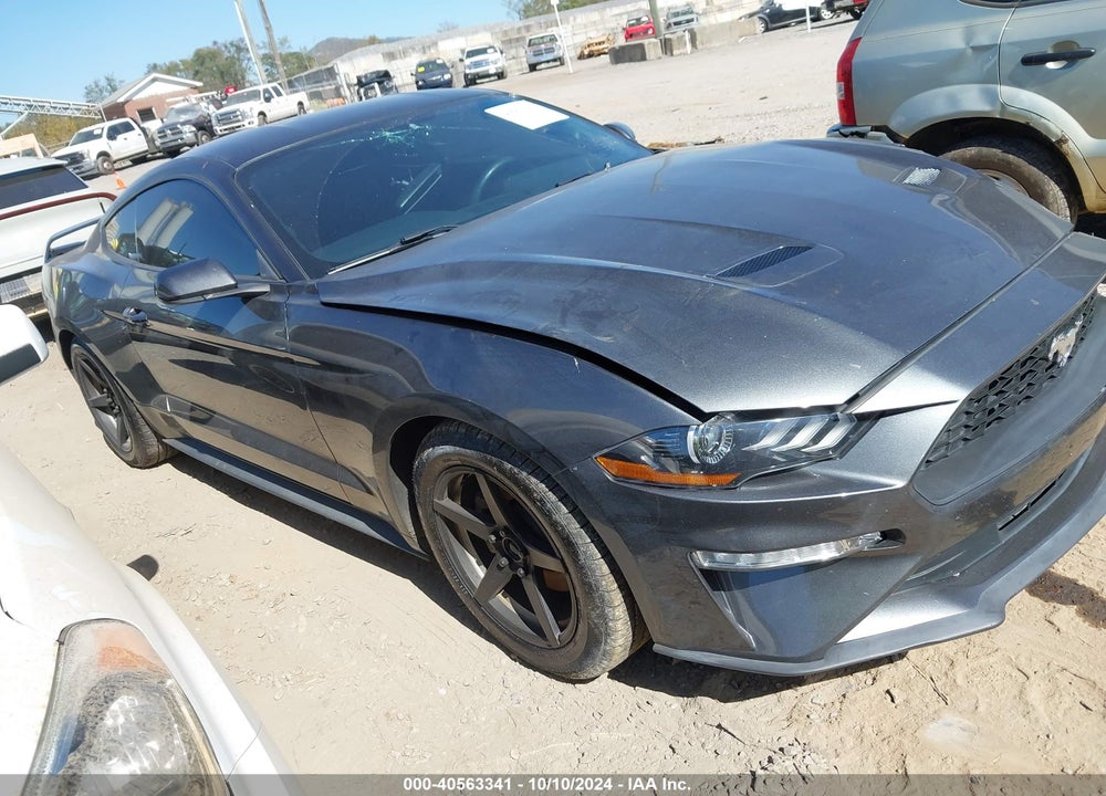 2019 FORD MUSTANG ECOBOOST VIN: 1FA6P8TH8K5125507